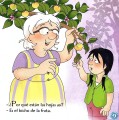 Фото Colega Lee. El bicho de la fruta 4
