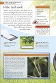 Фото Bug Hunter. Nature Activities 4