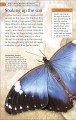 Фото Bug Hunter. Nature Activities 5