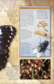 Фото Bug Hunter. Nature Activities 6
