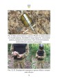 Фото Протипіхотні гранати, розтяжки, пастки. Посібник 8