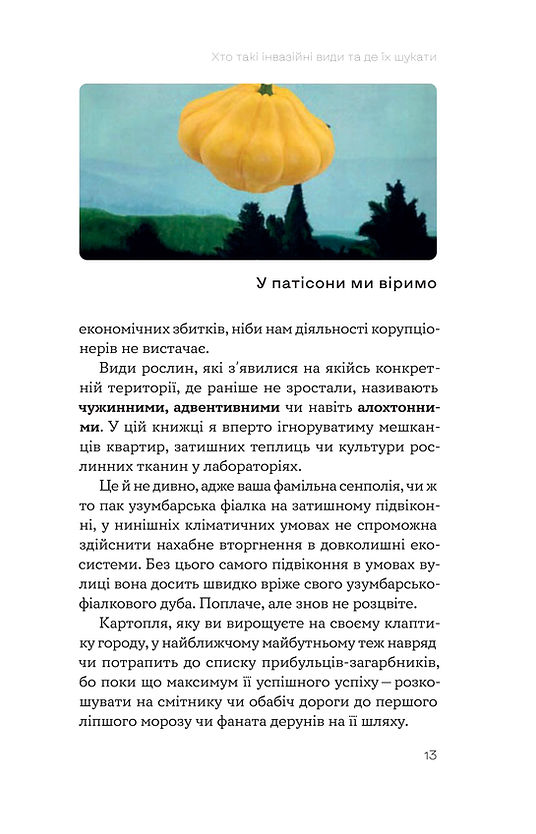 Hidden Product Image 7