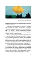 Фото Рослини-прибульці. Як борщівник та амброзія захоплюють Землю 7