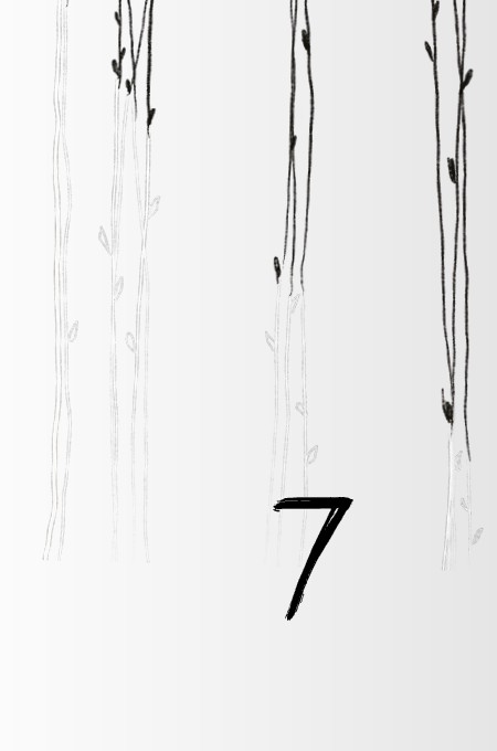 Hidden Product Image 9