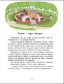 Фото Казочки на кожен день. Читаємо казки про Україну 3