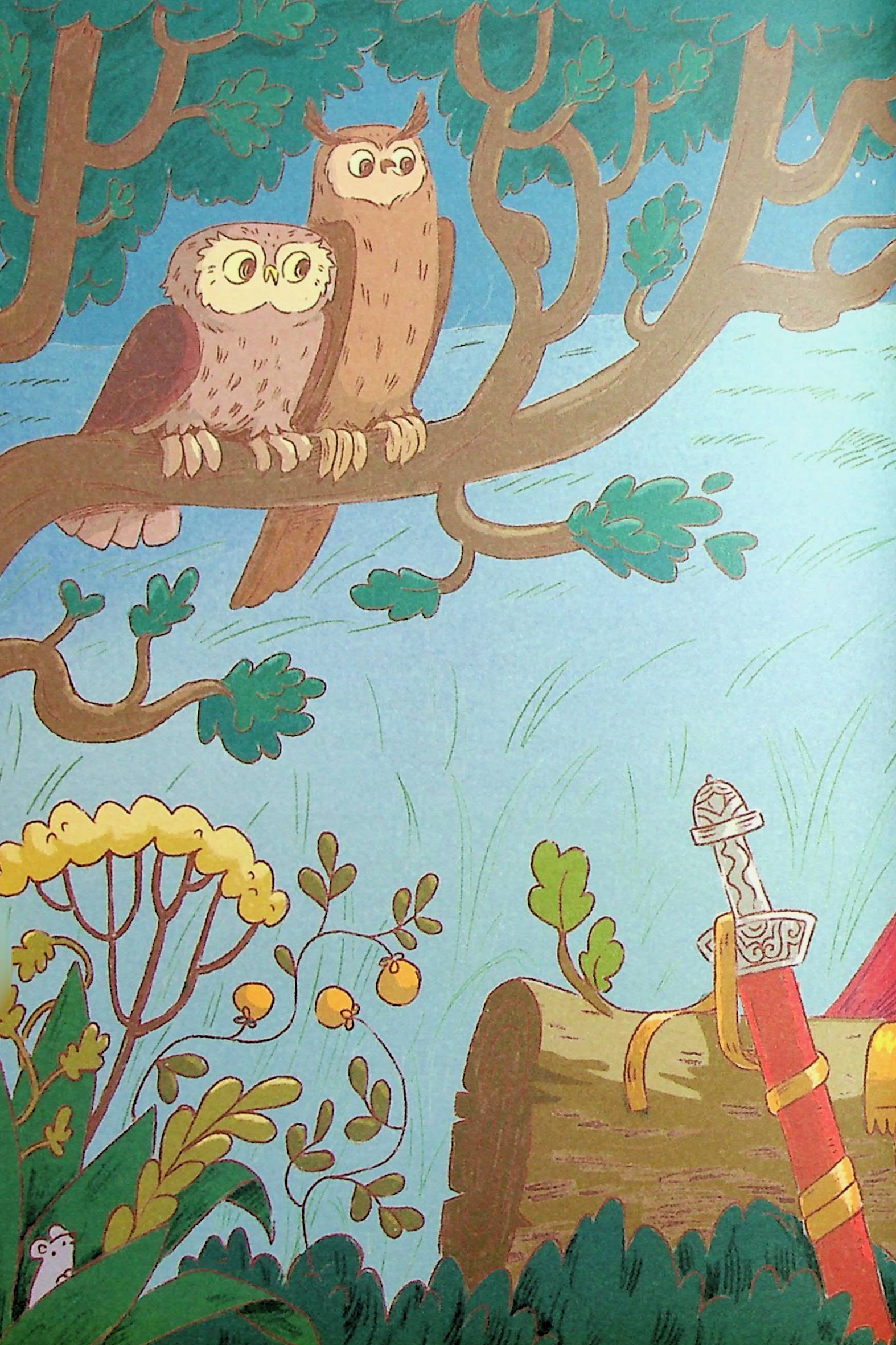 Hidden Product Image 13