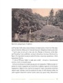 Фото Забуті парки, старі фільварки. Мандрівка палацами України 13