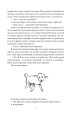 Фото Маленький принц 8