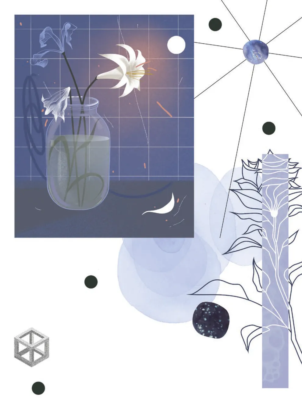 Hidden Product Image 6