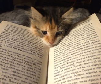 Просто книжок хочеться 🥲