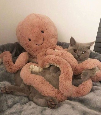Бажанки❤️