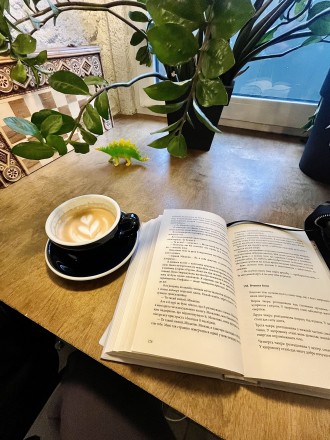 Книжкомрії