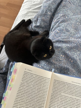 книжковий слей 💅🏻