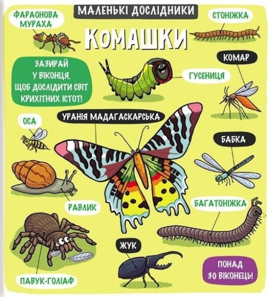 Фото Маленькі дослідники. Комашки