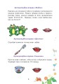 Фото Веселий язичок. Логопедичний зошит для дошкільнят. Звуки [ш], [ж] 2