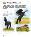 Фото Енциклопедія дошкільника: Коні 4