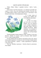 Фото Соколик. Український буквар для першокласників 6