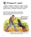 Фото Енциклопедія дошкільника: Собаки 4
