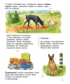 Фото Енциклопедія дошкільника: Собаки 5