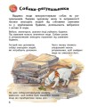 Фото Енциклопедія дошкільника: Собаки 6