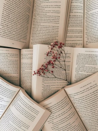 Мріяти так важливо 📚