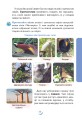 Фото Я досліджую світ. Підручник. 4 клас. У 2-х частинах. Частина 2 8