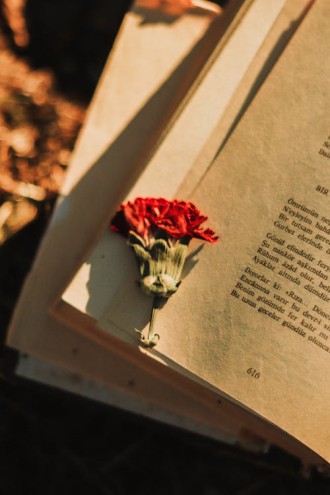Книжкові мрії повинні здійснюватися