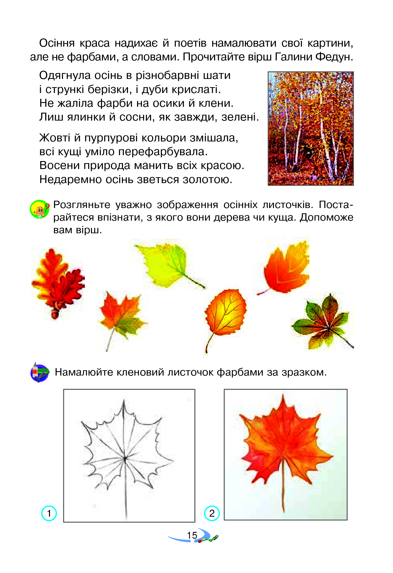 Hidden Product Image 15