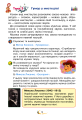 Фото Мистецтво. Підручник інтегрованого курсу для 3 класу закладів загальної середньої освіти 12