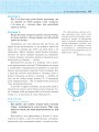 Фото Геометрія. Основи стереометрії. Дворівневий підручник для 10 класу 10