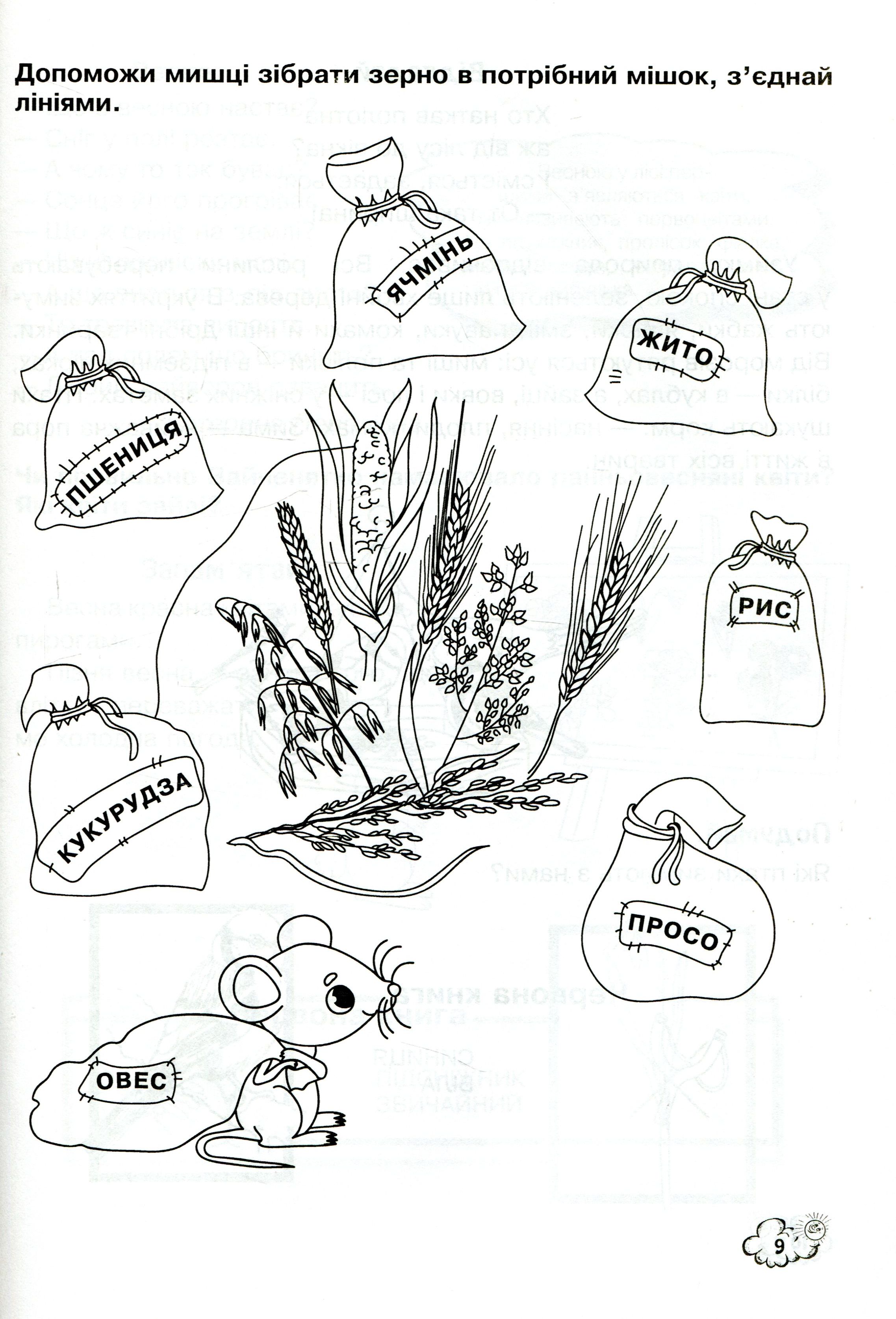 Hidden Product Image 6