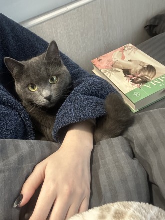 Для читань з котиками