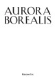 Фото Aurora Borealis 2