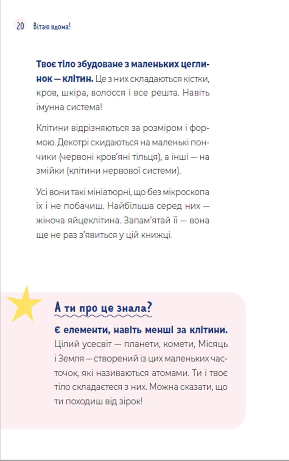 Hidden Product Image 8