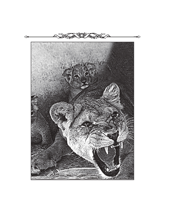 Hidden Product Image 18