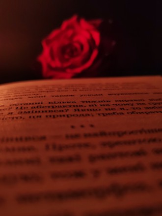 Книжульки
