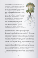 Фото Гордість і упередження 8