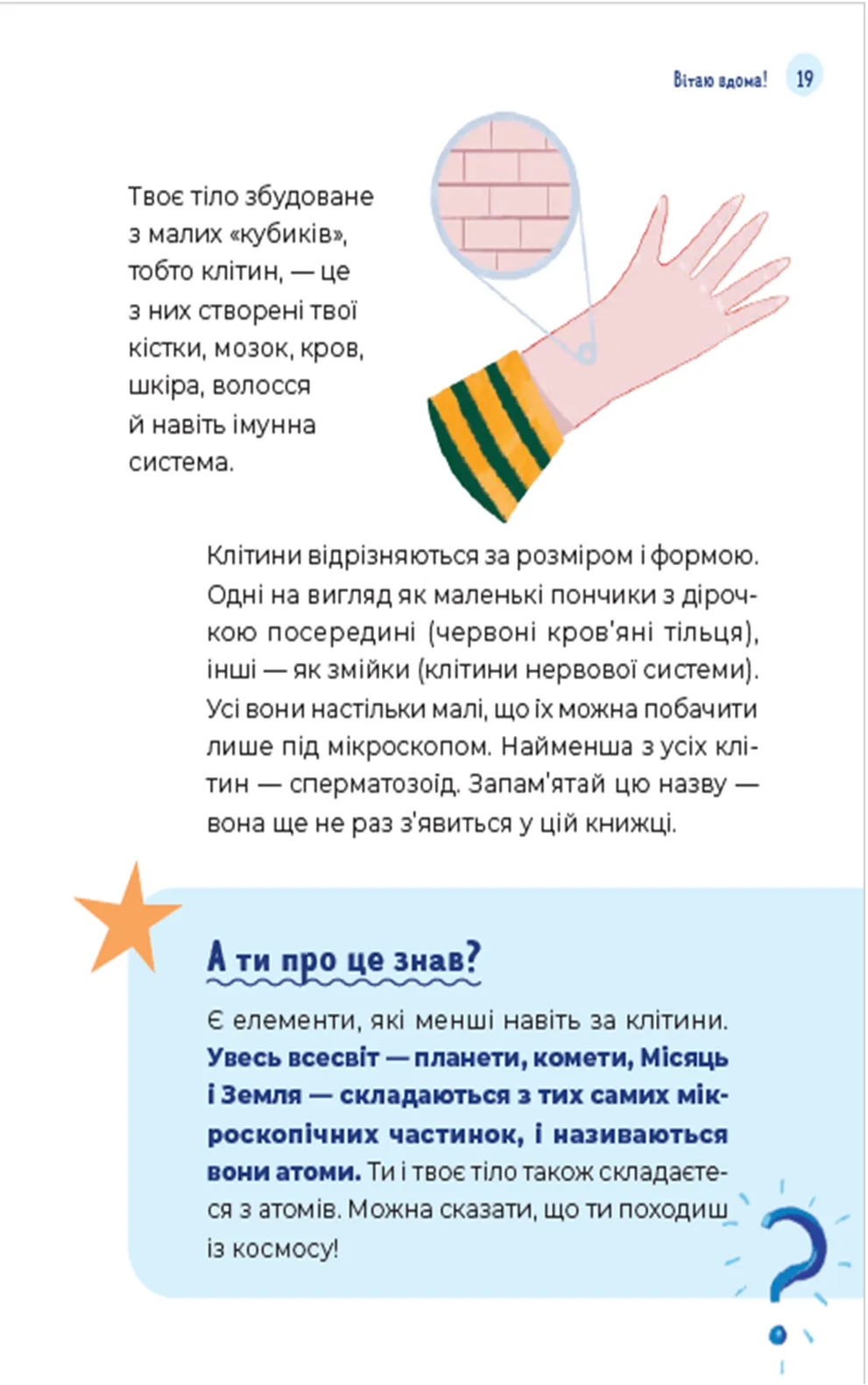 Hidden Product Image 11