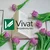 Vivat