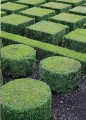 Фото A Life in Garden Design 4