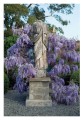 Фото A Life in Garden Design 8