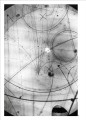 Фото The Cosmic Dance. Finding Patterns and Pathways in a Chaotic Universe 8