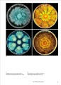 Фото The Cosmic Dance. Finding Patterns and Pathways in a Chaotic Universe 11