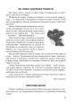 Фото Царство свійських тварин 10