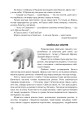 Фото Царство свійських тварин 13