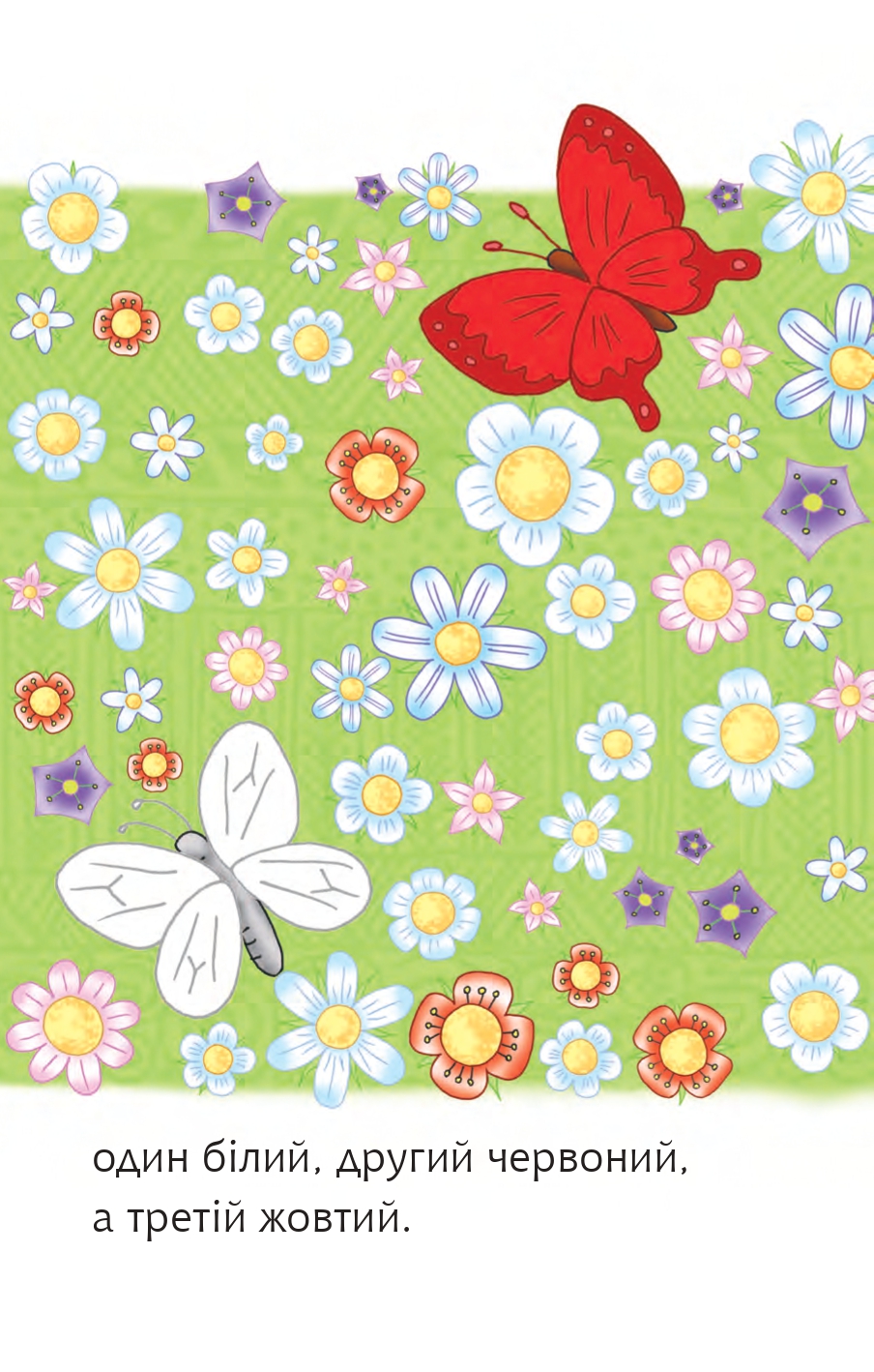 Hidden Product Image 6