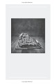 Фото Uncommon Type. Some Stories 12