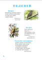 Фото Я досліджую світ. 1-4 класи. Дивокрай. Частина 2 4