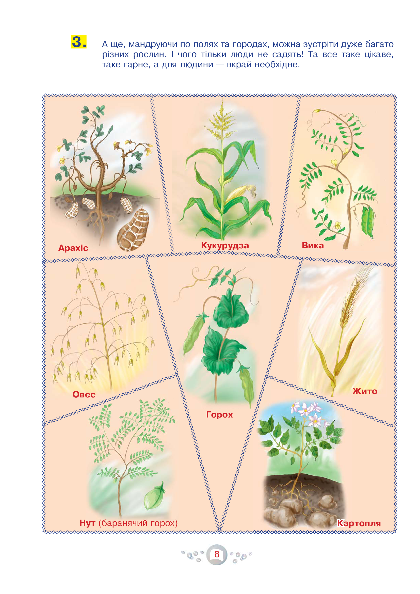 Hidden Product Image 9