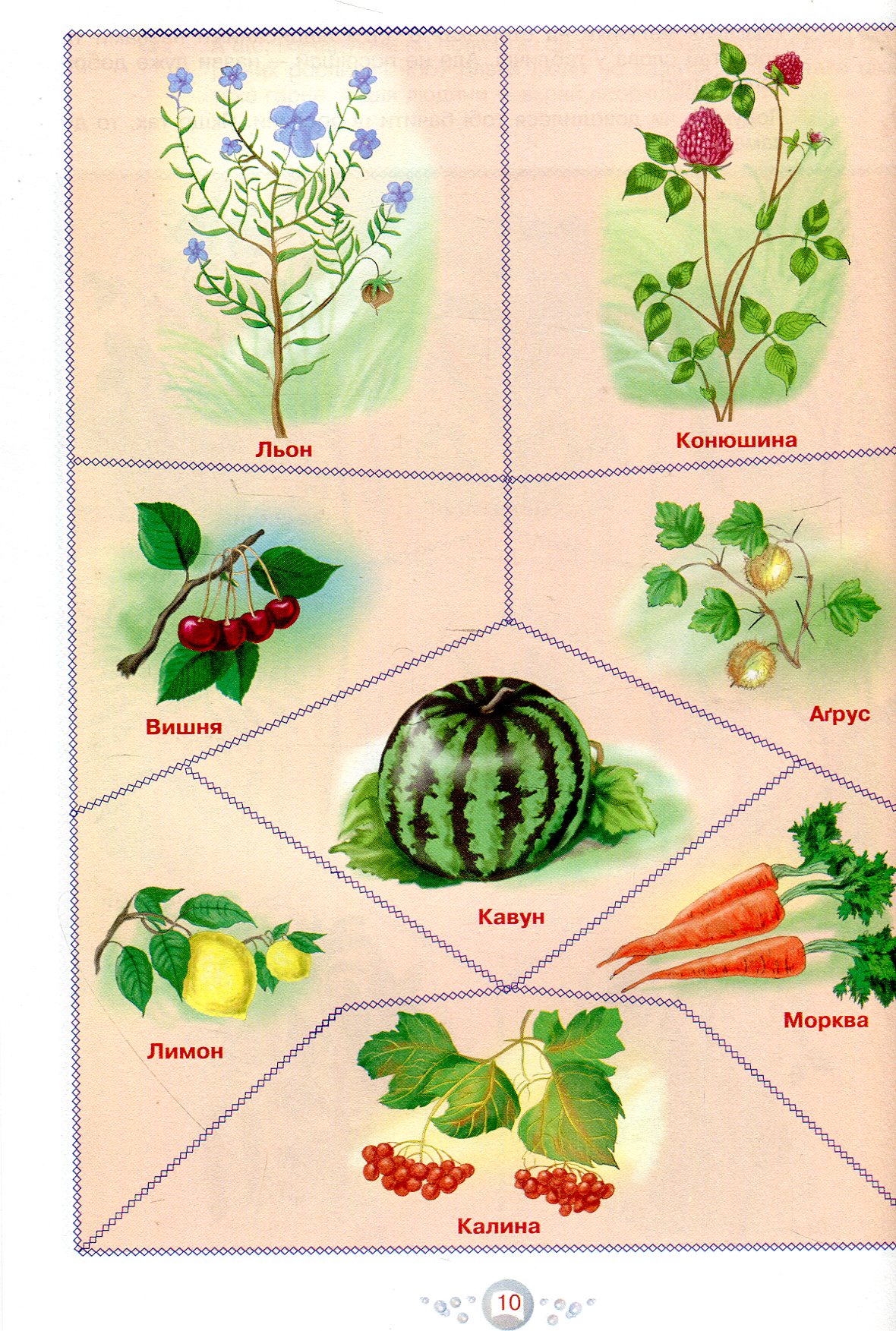 Hidden Product Image 10